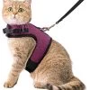 Kattentuigje Met Leiband Riem Kattenharnas Paars Maat L Kat & Kitten – Dieren Kattenriem – Cat Leash – Halsomvang 24 Tot 33cm – Borstomvang 36 Tot 41cm – Zootic® -Huisdierbenodigdheden Winkel 1065x1200