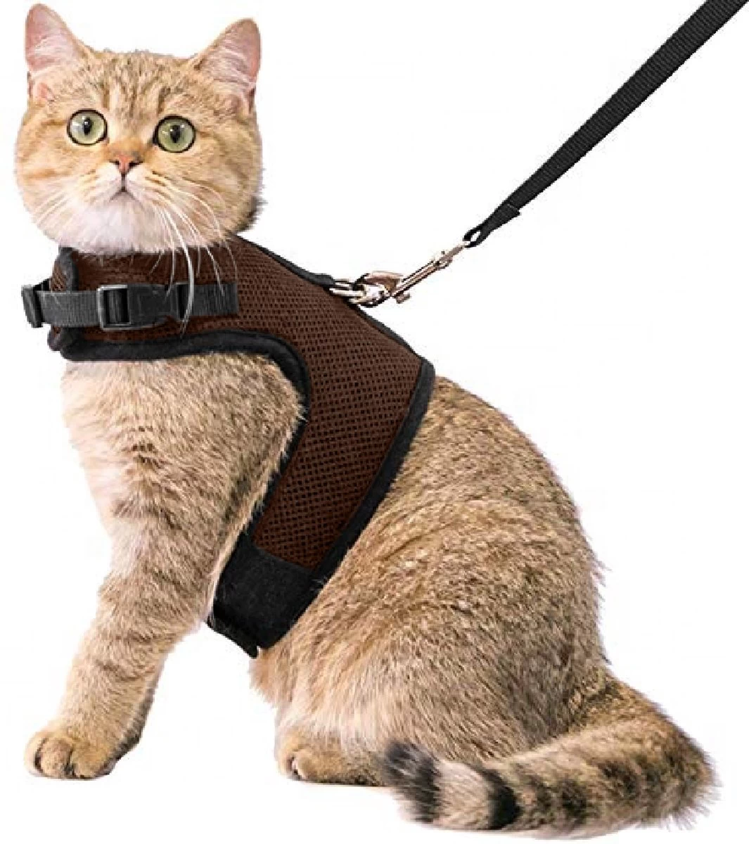 Kattentuigje Met Leiband Riem Kattenharnas Bruin Maat M Kat & Kitten – Dieren Kattenriem – Cat Leash – Halsomvang 20 Tot 26cm – Borstomvang 30 Tot 34cm – Zootic® 3 Kattentuigje Met Leiband Riem Kattenharnas Bruin Maat M Kat & Kitten – Dieren Kattenriem – Cat Leash – Halsomvang 20 Tot 26cm – Borstomvang 30 Tot 34cm – Zootic®