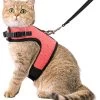 Kattentuigje Met Leiband Riem Kattenharnas Roze Maat S Kat & Kitten – Dieren Kattenriem – Cat Leash – Halsomvang 15 Tot 20cm – Borstomvang 25 Tot 30cm – Zootic® -Huisdierbenodigdheden Winkel 1065x1200 8