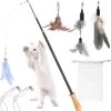 Kattenvishengel, Interactief Intrekbaar Kattenspeelgoed Met Ergonomisch Houten Handvat, 4 Stuks Reserve Dierenveren Hangers En 3 Reserve Linten, Kattenspeelgoed Voor Kittens En Katten -Huisdierbenodigdheden Winkel 1178x1200 1