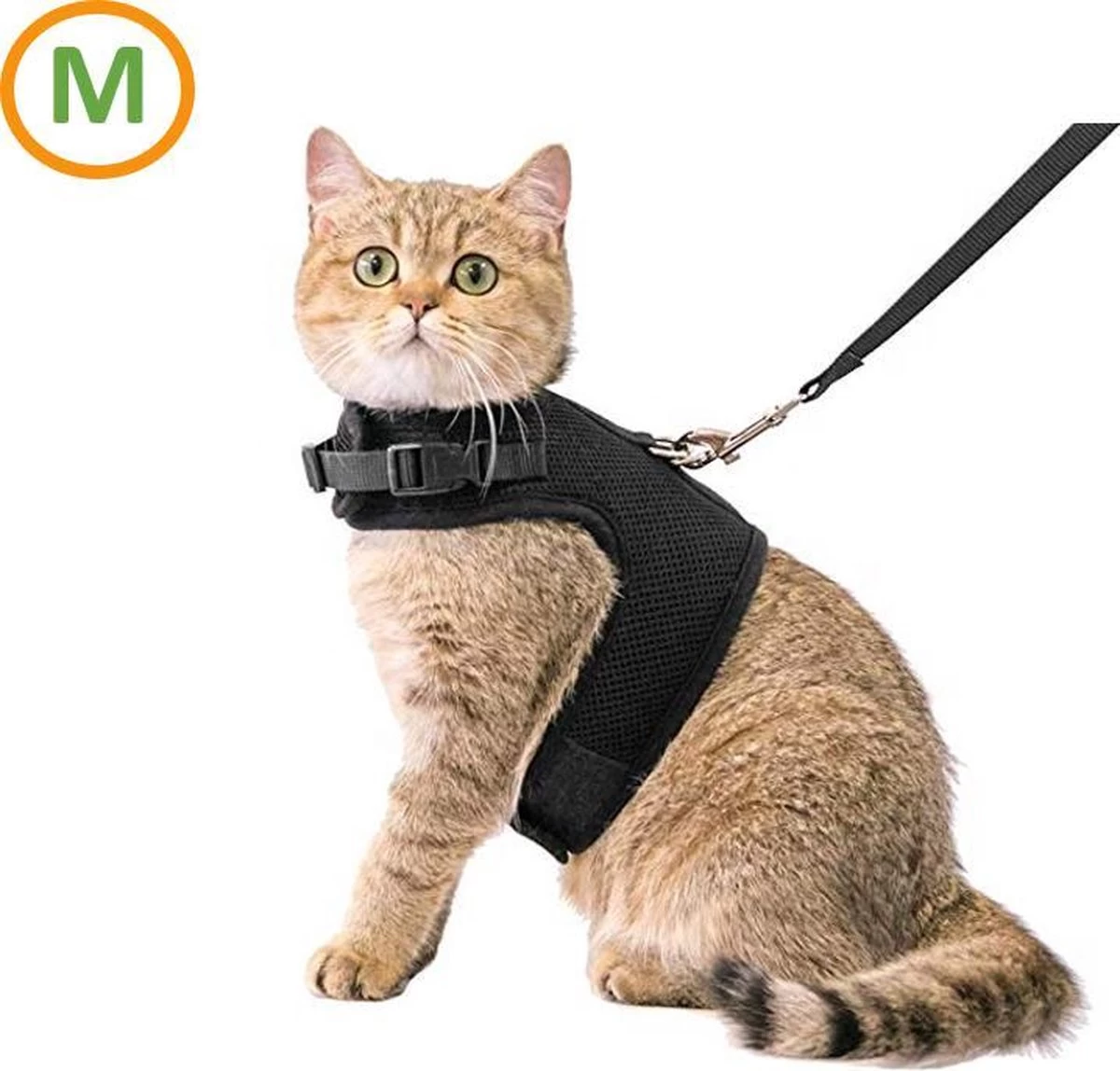 Zootic Kattentuigje Met Leiband Riem Kattenharnas Zwart Maat M Kat & Kitten – Halsomvang 20 Tot 26cm – Borstomvang 30 Tot 34cm 3 Zootic Kattentuigje Met Leiband Riem Kattenharnas Zwart Maat M Kat & Kitten – Halsomvang 20 Tot 26cm – Borstomvang 30 Tot 34cm