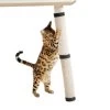 Make Me Purr Krabmat Met Klittenband (63×25 Cm) – Sisal Krabpaal Voor Katten – Kat Krab Mat Voor Tafelpoot – Tafel Krab Paal Meubel – Kitten Krappaal – Krabmeubel Van Sisaltouw – Meubelbescherming 2 Make Me Purr Krabmat Met Klittenband (63×25 Cm) – Sisal Krabpaal Voor Katten – Kat Krab Mat Voor Tafelpoot – Tafel Krab Paal Meubel – Kitten Krappaal – Krabmeubel Van Sisaltouw – Meubelbescherming -Huisdierbenodigdheden Winkel 1200x1200 47