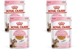 Royal Canin Kitten Sterilised Jelly – Kitten-Kattenvoer – 4 X 12×85 G
