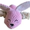 BoDutch Honden Knuffel – Konijn – Puppyknuffel – Flostouw – Knisperoortjes – Met Piep – Roze – 21 Cm – Hondenspeelgoed -Huisdierbenodigdheden Winkel 1200x864