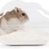 Hamster Gerbil Kunststof Zandbak Afgesloten Huisje Bakje Zand -Huisdierbenodigdheden Winkel 1200x873