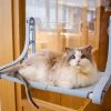 Kat Bed Luxe Zuignap Hangmat Nest Opknoping Kat Bed Raam Klimmuur Vensterbank Muur Wandmeubel Hangmat Katten Bed Huisdier Dierbenodigdheden -Huisdierbenodigdheden Winkel 1200x960