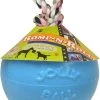 Jolly Ball Romp-n-Roll – Honden Speelbal Met Bosbessengeur – Hondenspeelgoed Met Stevig Trektouw – Baby Blauw – Ø 15 Cm -Huisdierbenodigdheden Winkel 666x1200