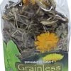JR Farm – Knaagdier Snack Graanvrij – Plus Teunisbloem En Paardebloem – 100 Gram -Huisdierbenodigdheden Winkel 687x1200 1