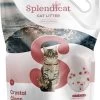 Splendicat Crystal Clean 5 Liter -Huisdierbenodigdheden Winkel 859x1200