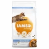 Iams Cat Adult Dental – Kattenvoer – Kip 3 Kg -Huisdierbenodigdheden Winkel 8710255150499 1