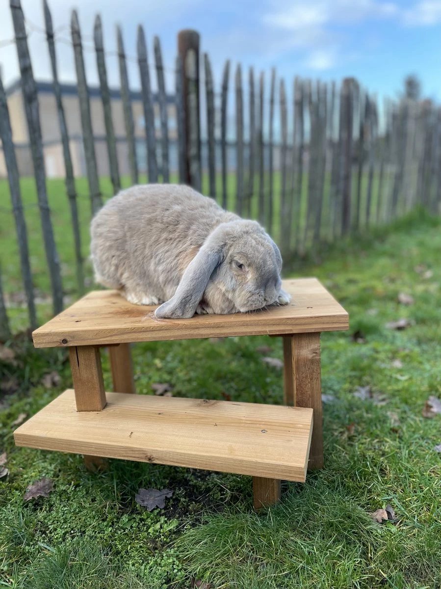 Konijnen Speelgoed – Handgemaakt – Knaagdieren Speelgoed – Duurzaam – Diervriendelijk 3 Konijnen Speelgoed – Handgemaakt – Knaagdieren Speelgoed – Duurzaam – Diervriendelijk