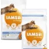 Iams Cat Adult Dental – Kattenvoer – 2 X Kip 3 Kg -Huisdierbenodigdheden Winkel 903x1200
