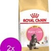 Royal Canin Fbn Kitten Maine Coon – Kattenvoer – 2 X 4 Kg -Huisdierbenodigdheden Winkel 911x1200
