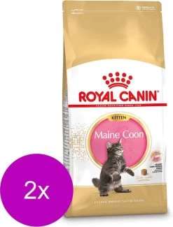 Royal Canin Fbn Kitten Maine Coon – Kattenvoer – 2 X 4 Kg