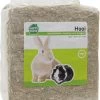 Happy Home Hooi – Konijnenvoer – 5 Kg -Huisdierbenodigdheden Winkel 962x1200